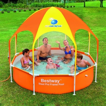 Купить Детский бассейн Bestway 56432/56193 (244х51)